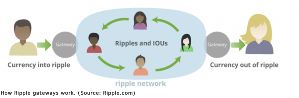 Xrp Ripple Block Builders Net